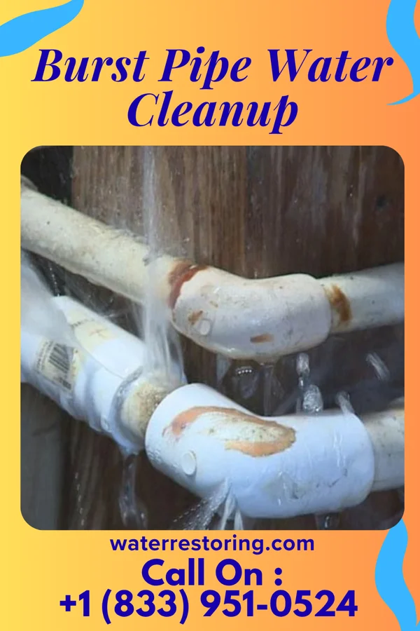 Burst Pipe Water Cleanup in Altoona, PA
