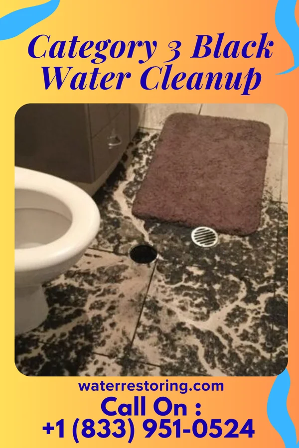 Category 3 Black Water Cleanup in Altoona, PA