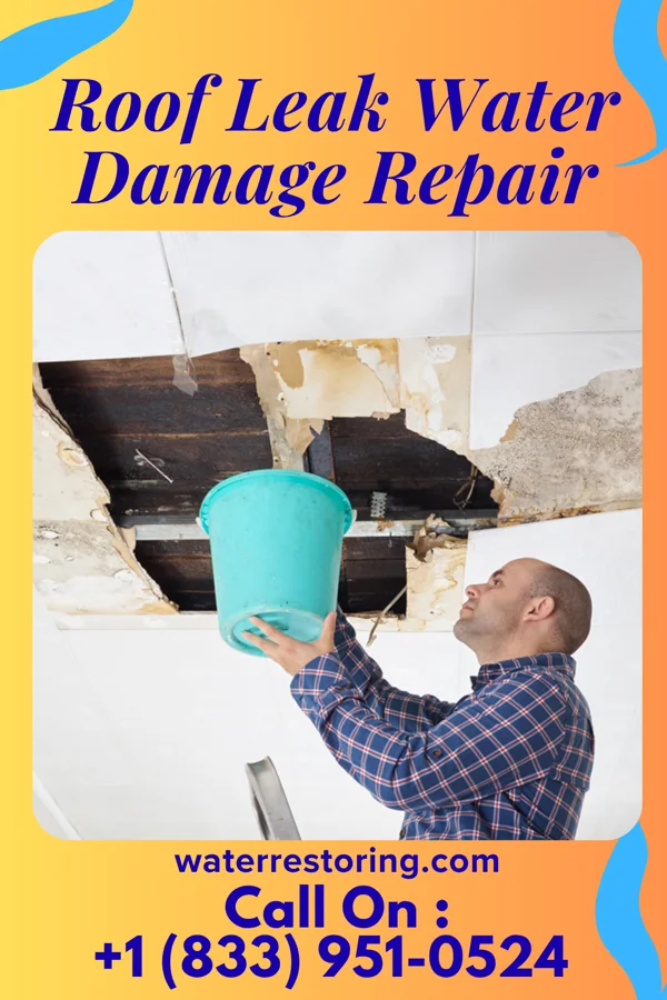 Roof Leak Water Damage Repair in Altoona, PA