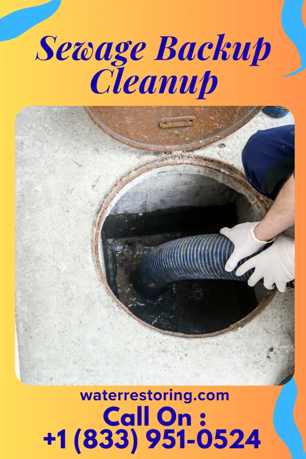 Sewage Backup Cleanup in Altoona, PA