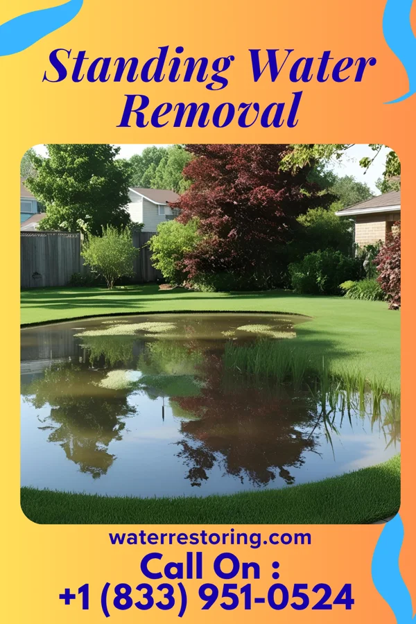 Standing Water Removal in Altoona, PA